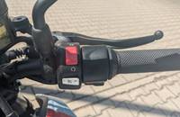 20MY SR/F EU ZF14.4 Standard *Top gepflgt* - Bild 10
