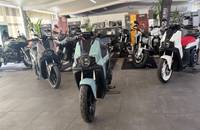 Diverse E-Scooter in einem gut beleuchteten Autohaus.