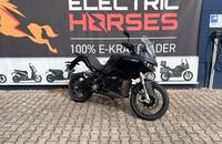 Schwarzes Adventure-Motorrad vor dem Autohaus Electric Horses.