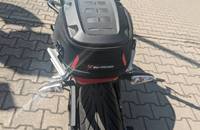 20MY SR/F EU ZF14.4 Standard *Top gepflgt* - Bild 15